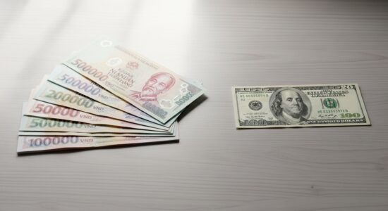 Vietnamese dong investment with US dollar comparison