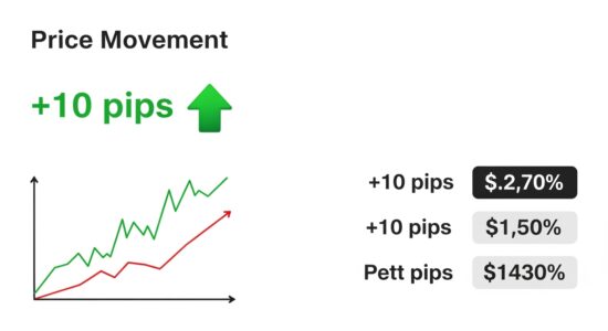 مفهومقيمة النقطة في الفوركس يوضح العلاقة بين حجم المركز وتحرك السعر والأثر على الحساب - NFA - CFTC - FCA